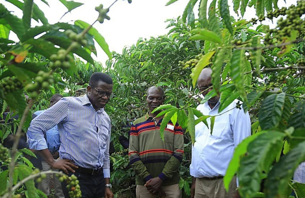 Katikkiro Peter Mayiga