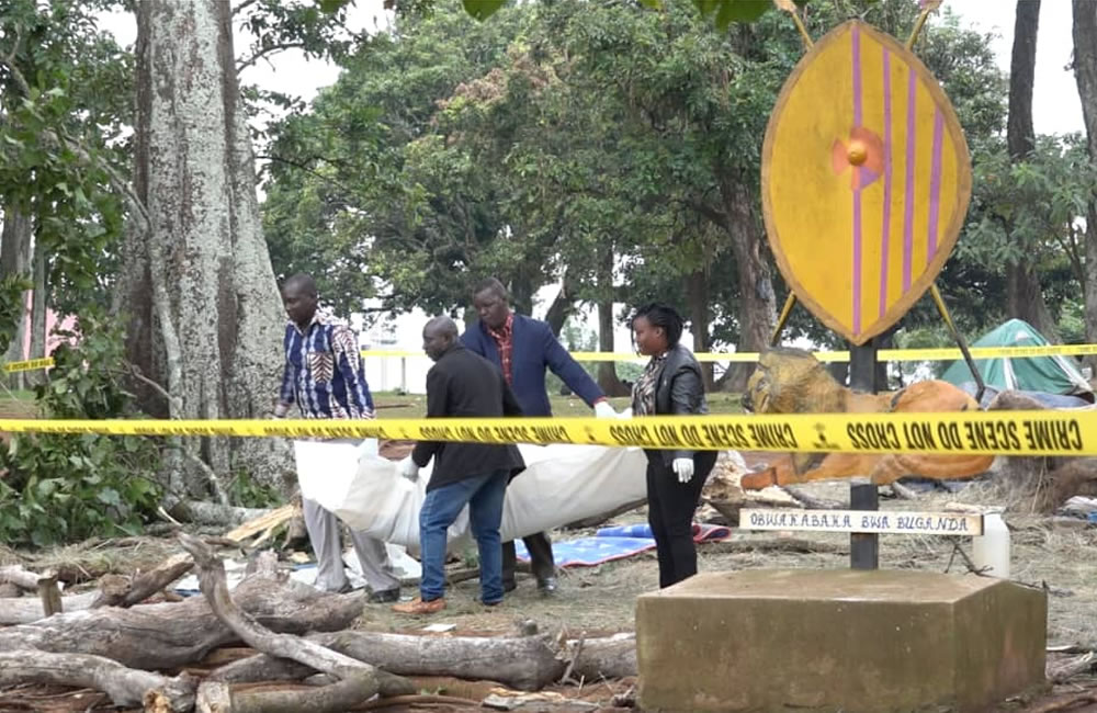 Nakayima Tree Accident Scene